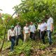 Proyecto Drummond en alianza con Agroemprende Cacao 80x80